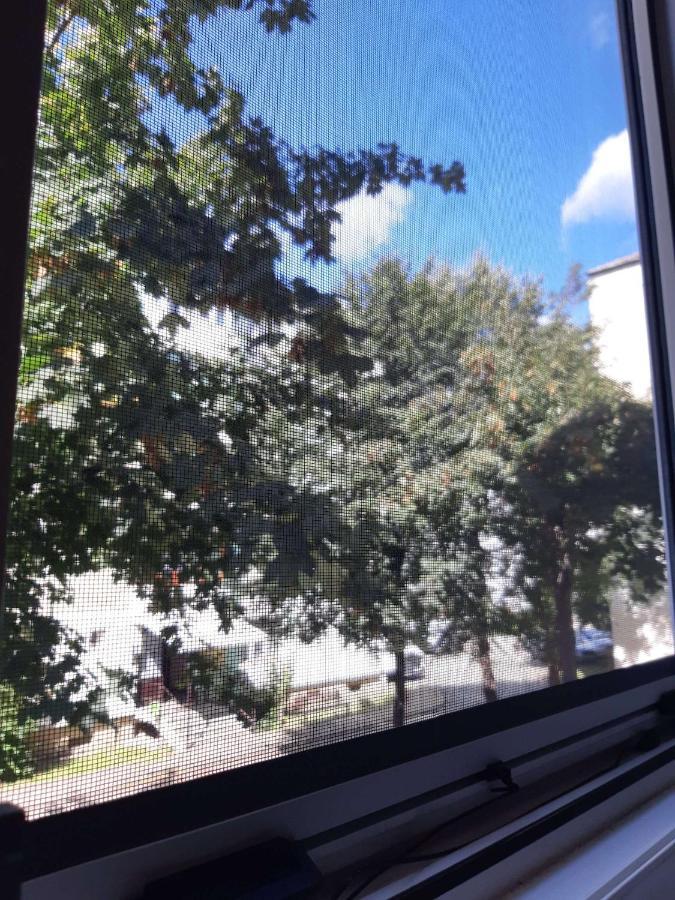 Alma Apartament Piatra Neamţ Exterior foto